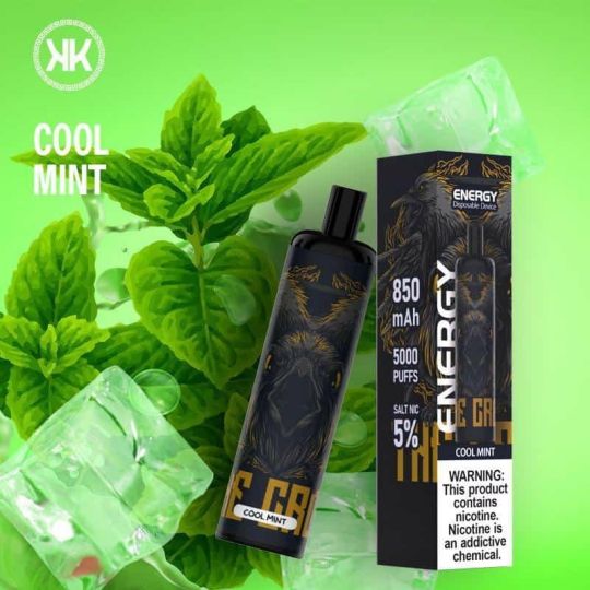 Disposable ENERGY 5000 puffs Rechargeable 850mah 12ml
